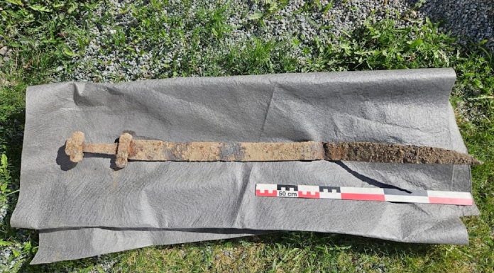 Un băiat de șase ani a găsit o sabie vikingă în timpul unei excursii școlare. Descoperirea i-a șocat pe arheologi