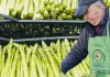 De la fermele din Germania, la propria plantație cu „hrana regilor”. Un bucovinean a dat lovitura cu o afacere cu sparanghel