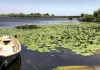 Turiștii fug de Delta Dunării după alertele cu drone. Primarul din Tulcea: „Ne-a afectat cel mai mult”