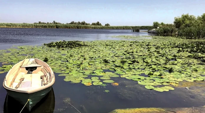 Turiștii fug de Delta Dunării după alertele cu drone. Primarul din Tulcea: „Ne-a afectat cel mai mult”