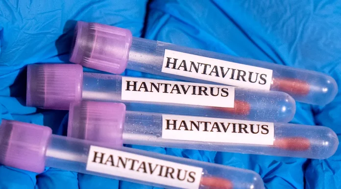 Un nou caz de hantavirus a apărut în Spania. Numărul persoanelor infectate a ajuns la 13