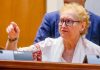 SAFE sub asediu. AUR sesizează și Avocatul Poporului atacă la CCR programul de 16,68 miliarde euro pentru apărarea României