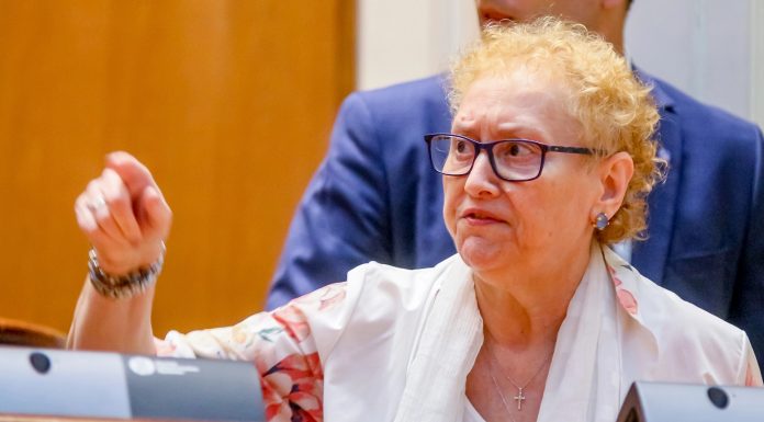 SAFE sub asediu. AUR sesizează și Avocatul Poporului atacă la CCR programul de 16,68 miliarde euro pentru apărarea României