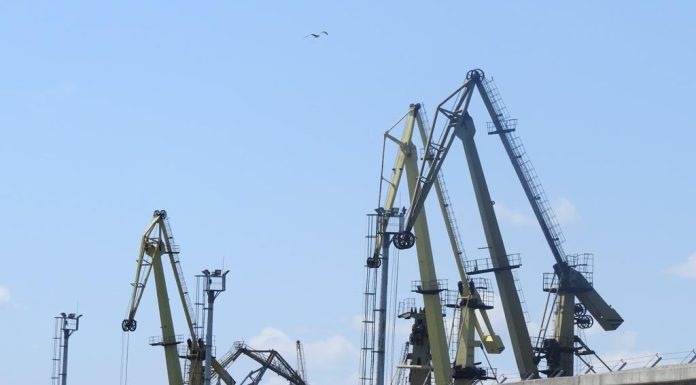 Socep Constanța distribuie aproape jumătate din profitul net al anului trecut sub formă de dividende