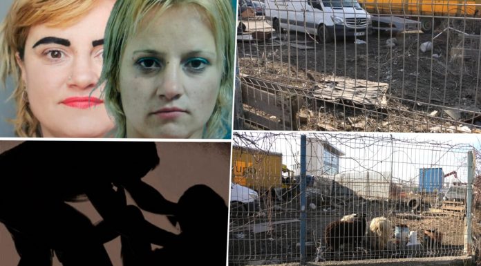 Un criminal care viola și omora femei acostate în centrul Capitalei, descoperit după ADN. Bărbatul a fost comparat cu Ion Rîmaru