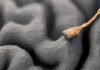 China transformă implanturile cerebrale cu inteligență artificială în produse comerciale