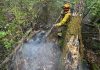 Bihor: Incendiul de la groapa de gunoi din Oradea a fost stins/ În schimb, pompierii continuă operaţiunea în cazul focarelor din zona împădurită dintre Şuncuiuş şi Vadu Crişului – VIDEO, FOTO