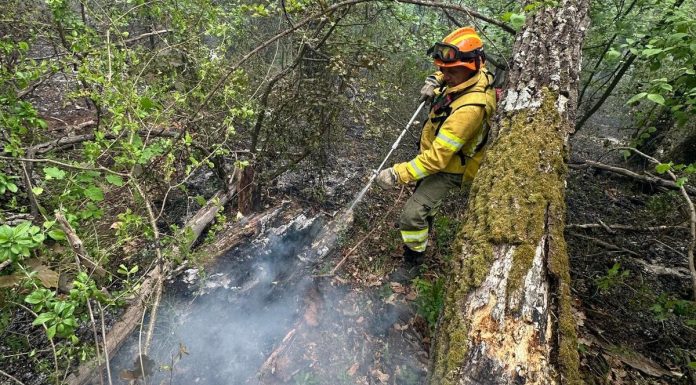 Bihor: Incendiul de la groapa de gunoi din Oradea a fost stins/ În schimb, pompierii continuă operaţiunea în cazul focarelor din zona împădurită dintre Şuncuiuş şi Vadu Crişului – VIDEO, FOTO
