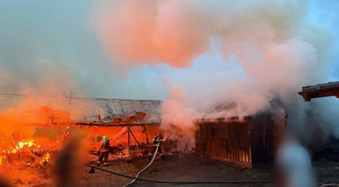 Un adăpost de animale din județul Suceava s-a făcut scrum. Există pericol de propagare a incendiului la alte construcții din proximitate