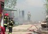 „Arca lui Noe”, singurul ligru din România, a murit într-un incendiu la o grădină zoologică improvizată din Suceava