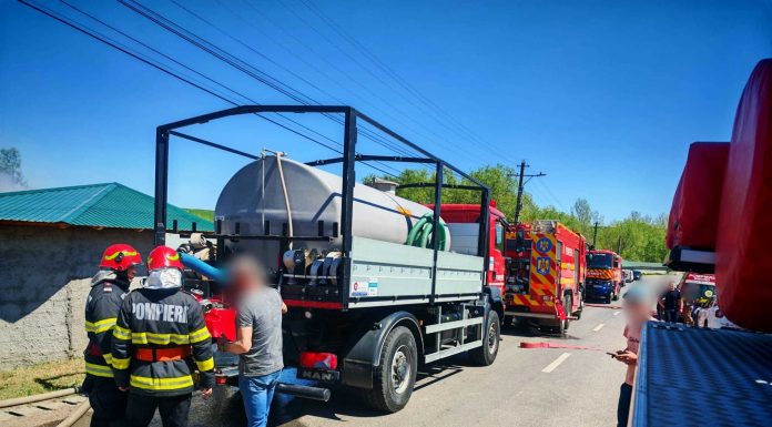 Suceava: Un ligru şi un fazan au murit în urma unui incendiu izbucnit la grădina zoologică privată din Zahareşti/ Proprietarul, transportat la spital după ce s-a intoxicat cu fum