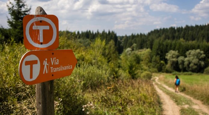 MedLife devine partener de sănătate și wellbeing în proiectul Via Transilvanica, „drumul care unește”