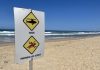 Bărbat ucis de rechin lângă plajă, pe coasta de nord-est a Australiei. El participa la o sesiune de pescuit subacvatic
