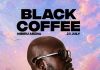 Black Coffee și Shimza se alătură line-up-ului NEBULA X