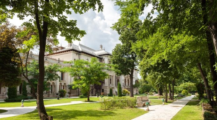Ziua Copilului la Palatul Cotroceni și la Senat: ce surprize și activități îi așteaptă pe copii