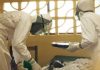 Doi tineri suspectați de Ebola, internați de urgență și izolați la Milano. Autoritățile medicale au declanșat protocoalele de alertă