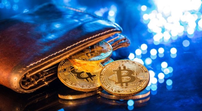 Răsturnare de situație pe piața crypto: În timp ce Bitcoin scade, Zcash explodează din cauza panicii globale privind AI-ul