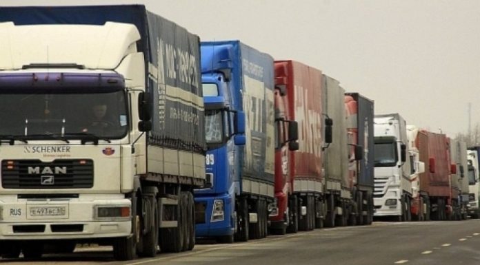 Euro pune la pământ marjele din transporturi. Companiile de profil au expunere de până la 90% la fluctuațiile valutare
