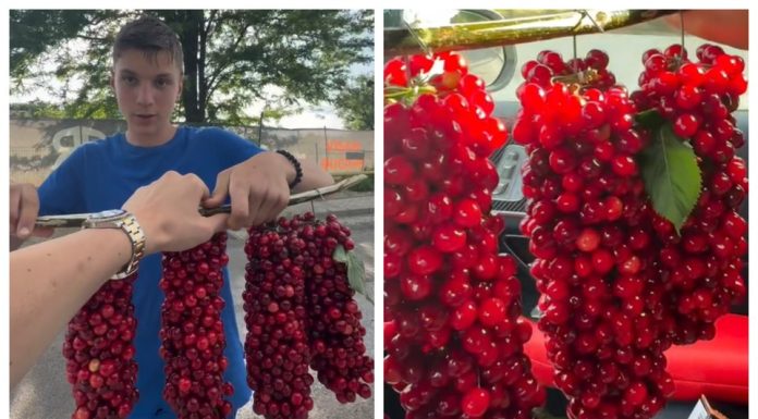„Băiatul de la Comarna" a cucerit internetul cu „ciorchinii de cireșe” pe care-i vinde pe marginea drumului