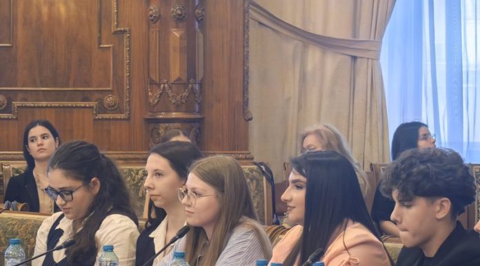 Strigătul de alarmă al elevilor, la Senat: Suntem anxioși și urâm școala. Nimeni nu ne învață cum să trecem peste asta