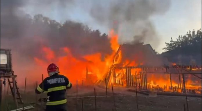 Incendiu de proporții în Bistrița-Năsăud. Zeci de animale și păsări, mistuite de flăcările uriașe