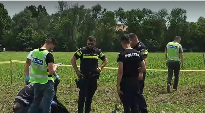 Descoperire macabră pe un câmp: un bărbat a găsit un craniu uman. „Am dat cu piciorul și s-a întors”
