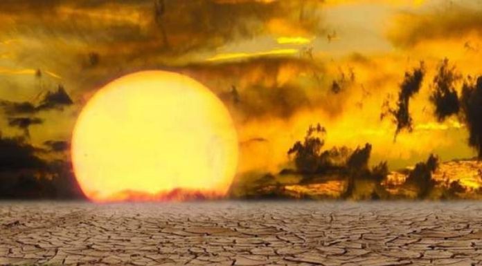 Pământul a intrat într-o nouă eră a extremelor. Următorii cinci ani ar putea schimba definitiv clima planetei