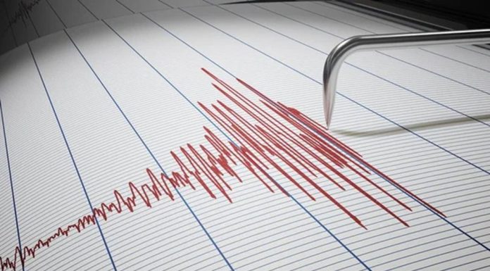 Cutremur în România. Ce intensitate a avut și unde s-a resimțit cel mai tare seismul