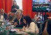 PSD și PNL, schimb de replici acide în Comisia de buget: „Ați început să o luați pe câmpie / Nu suntem în dictatura PSD”