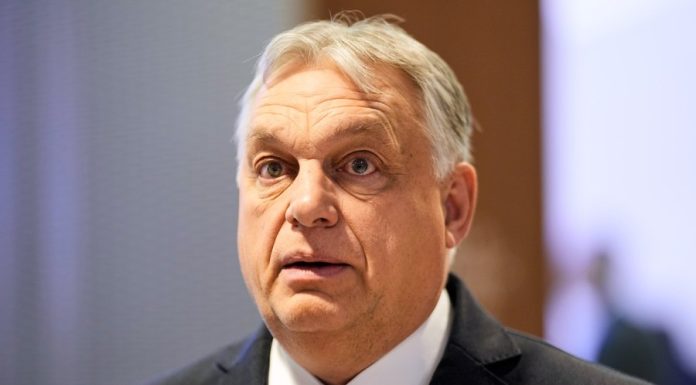 Planul secret al mișcării MAGA pentru Viktor Orbán: o funcție la ONU pentru fostul premier ungar pentru imunitate diplomatică