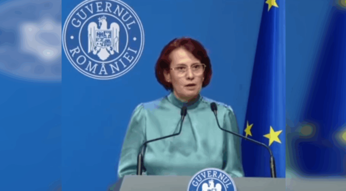 Purtătoarea de cuvânt a Guvernului sugerează că șeful Vămilor a fost arestat de DNA pentru că făcea reforme. Procurorii l-au ridicat pentru mită