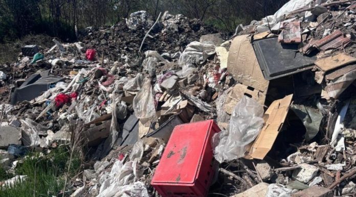 Un arădean s-a ales cu o amendă de 30.000 de lei pentru că a abandonat gunoi într-un loc nepermis