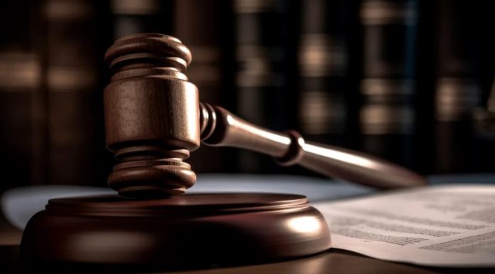 Gelu Voican Voiculescu și-a dat fiica în judecată după ce i-a vândut fictiv un conac. Ce au concluzionat judecătorii