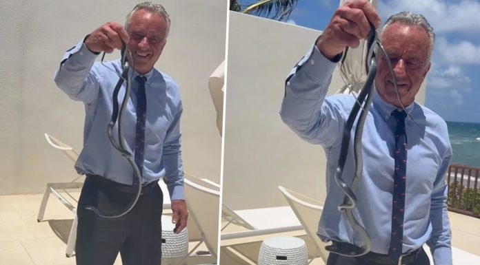 Imaginile zilei vin din SUA. Secretarul Sănătății, Robert Kenedy, a postat un video în care se luptă cu doi șerpi care au pătruns pe terasa casei