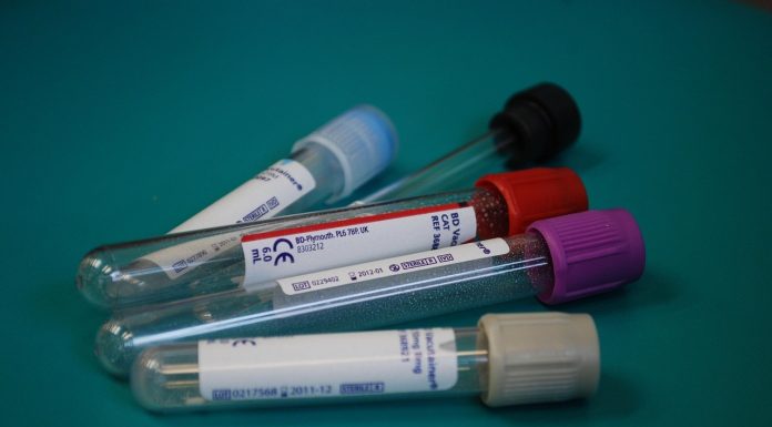 Anunț privind infecția cu hantavirus în România. Specialiștii spun că este una cronică, nu recentă