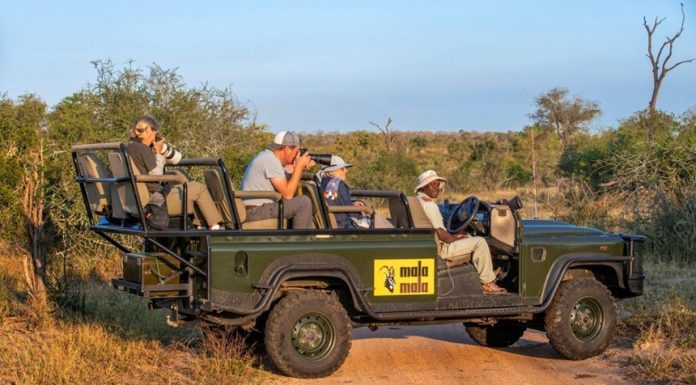 Securitatea Parcului Naţional sud-african Kruger consolidată, în urma găsirii într-un rău a cadavrelor a doi turişti ucişi pentru prima oară în istoria de 100 de ani a parcului