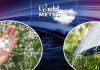 Scăderi bruște de temperatură în mai multe regiuni. Meteorologii ANM au schimbat prognoza, detalii exclusive pentru Gândul