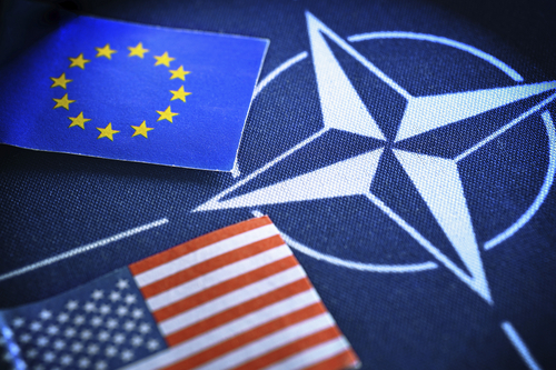 Purtătoarea de cuvânt a NATO: Lucrăm cu Statele Unite ale Americii pentru a înțelege detaliile deciziei privind postura forțelor în Germania
