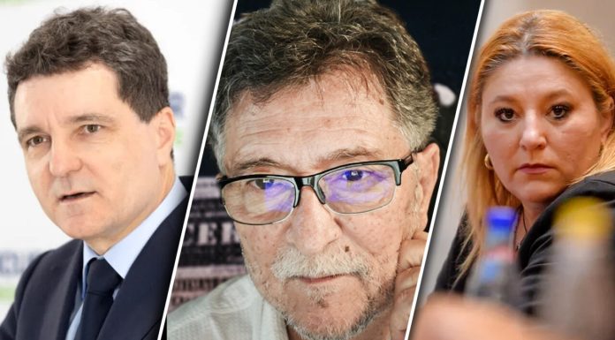 Diana Şoşoacă spune că Nicuşor Dan ar prefera un premier de la SOS: „Aşa se explică strângerea de mână”