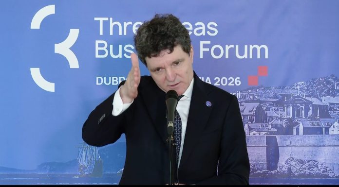 Nicușor Dan despre prăbușirea leului: Invit la calm. S-a întâmplat în România și peste tot în lume la evenimente similare