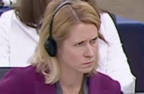 „Nu aveți habar de diplomație sau politică externă; am speranțe mai mari „de la o conversație cu hamsterul meu”: un eurodeputat german o atacă pe Kaja Kallas în Parlamentul European