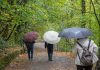 Vremea azi, 31 mai. Temperaturi de vară în Oltenia și furtuni în mai multe zone din țară