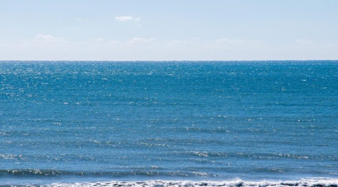 Oceanele se apropie de temperaturi record. Observatorul european Copernicus trage un semnal de alarmă