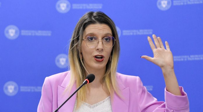 Octavian Berceanu, scrisoare deschisă către Diana Buzoianu: „Cum să biruiți mafia dacă v-a dovedit un sat?”