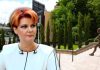 Ce statuete au observat craiovenii în centrul orașului. Mesajul transmis de Lia Olguța Vasilescu