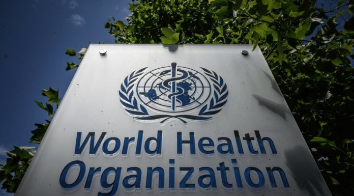 OMS avertizează asupra posibilei apariții a noi cazuri de hantavirus după focarul de pe nava MV Hondius