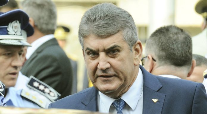 FOTO Ex-ministrul Gabriel Oprea investește, cu Nețoiu, într-o fermă de vite rasa Black Angus