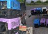 Un bulgar a vrut să intre în România cu 47 de păsări exotice în microbuz