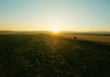 Program lansat în România – PepsiCo și Fertiberia colaborează pentru a decarboniza aproximativ 400.000 de acri de culturi de cartofi și porumb în Europa