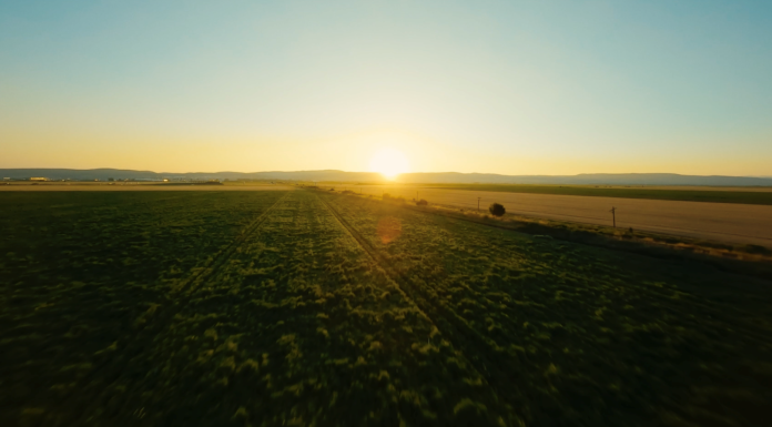 Program lansat în România – PepsiCo și Fertiberia colaborează pentru a decarboniza aproximativ 400.000 de acri de culturi de cartofi și porumb în Europa